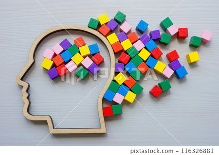 The outline of the head and multi-colored cubes as a symbol of creative thinking and a positive attitude. The outline of the head and multi-colored cubes as a symbol of creative thinking and a positive attitude. 116326881