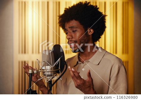 Vocalist Recording Song In Studio 116326980