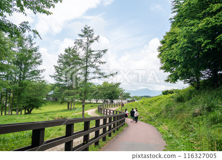 通往大蒜山馬匹公園的小路 116327005