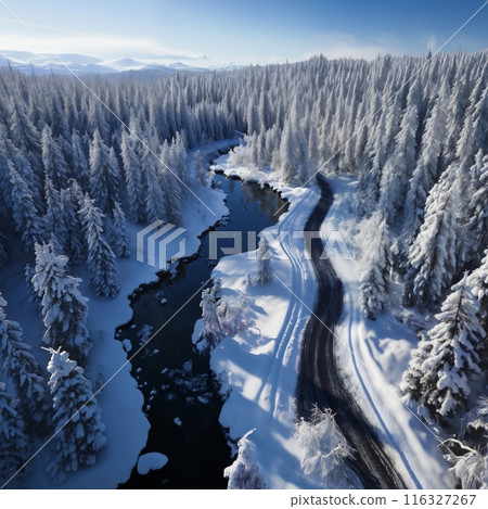 beautiful winter landscape drone view, river and forest with snow, wild nature 116327267