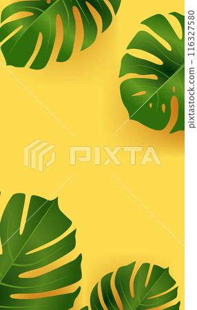 Green monstera leaves on yellow background tropical foliage botanical design 116327580
