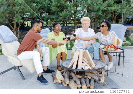 Friends rest together, drink wine, talk to each other on a picnic 116327751
