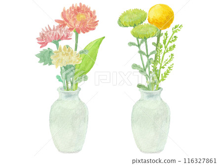 Buddhist flowers arranged in a vase painted with watercolors 116327861