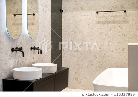 Luxurious Bathroom with Double Sink 116327989