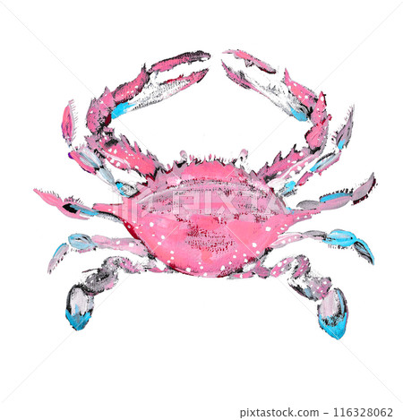 一隻蜘蛛的插圖 116328062