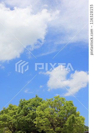 Fresh greenery, blue sky and white clouds (Asutamurando Tokushima) 116328155