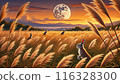 The moon, silver grass and rabbits 116328300