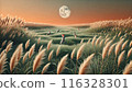 The moon, silver grass and rabbits 116328301