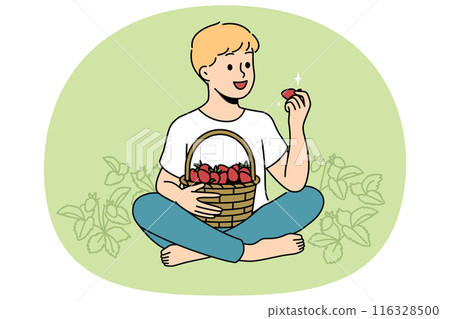 Little boy eats strawberries sitting in clearing with yagid bushes on fruit farm or plantation 116328500