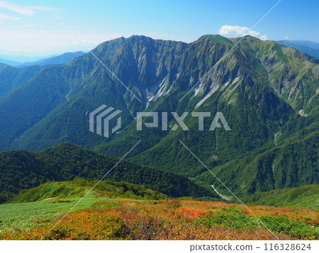 Mt. Tanigawa in early autumn as seen from Mt. Kasagatake Mt. Tanigawa in early autumn as seen from Mt. Kasagatake 116328624