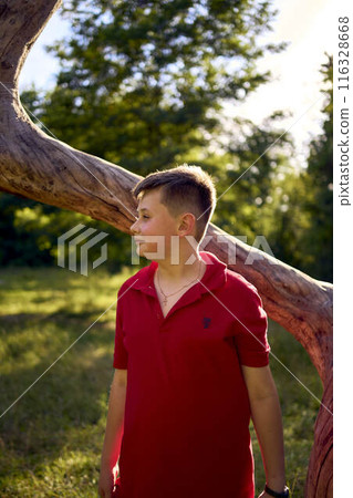 preteen boy in a red t-shirt is sad near a withered tree in the park preteen boy in a red t-shirt is sad near a withered tree in the park 116328668