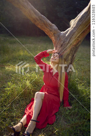portrait of a beautiful woman with long blond hair in a red dress near a dry tree in the park 116328685