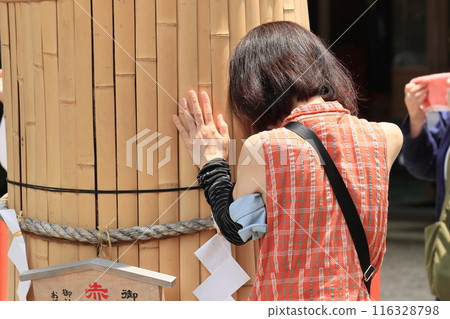 Worshippers receive power by touching the sacred tree Worshippers receive power by touching the sacred tree 116328798