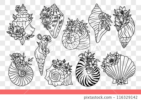 Seashells of sea inhabitants and underwater animals with flowers. Hand drawn doodle Seashells of sea inhabitants and underwater animals with flowers. Hand drawn doodle 116329142