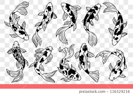 Japanese carp fish with spotted body and large fins swims in different positions. Hand drawn doodle Japanese carp fish with spotted body and large fins swims in different positions. Hand drawn doodle 116329216