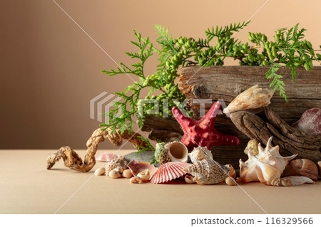 Abstract nature scene with a composition of seashell, starfish, green branches, and snags. 116329566