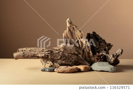 Abstract nature scene with a composition of stones and dry snags. Abstract nature scene with a composition of stones and dry snags. 116329571