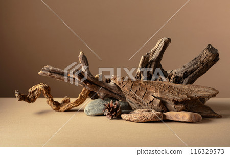 Abstract nature scene with a composition of stones and dry snags. Abstract nature scene with a composition of stones and dry snags. 116329573