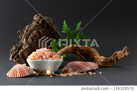 Pink himalayan salt with snags, green thuja branches, and seashells. Pink himalayan salt with snags, green thuja branches, and seashells. 116329578