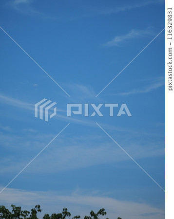 Unique clouds floating in the blue sky Unique clouds floating in the blue sky 116329831