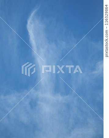 獨特的雲彩漂浮在藍天上 116329864