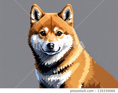 柯基犬坐著微笑 柯基犬坐著微笑 116330060