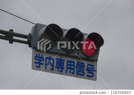 校內紅綠燈 九州大學伊東校區 校內紅綠燈 九州大學伊東校區 116330803