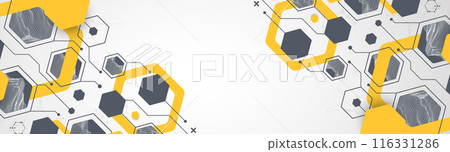 Modern science or technology abstract background using hexagonal shapes. Wireframe spot surface illustration. Vector. 116331286