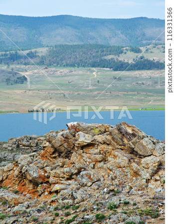 Cape hadarta 116331366