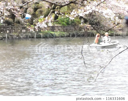 搭船賞櫻花 搭船賞櫻花 116331606