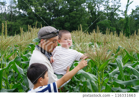 Family enjoying rural life Family enjoying rural life 116331663