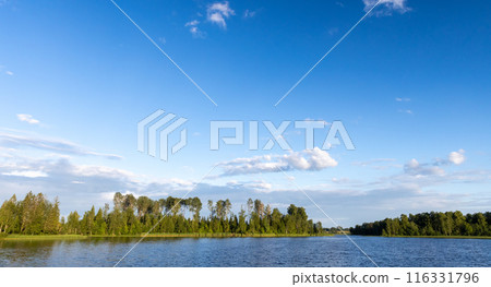 Natural panoramic landscape background, lake coast 116331796