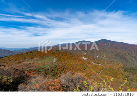 滿山紅葉的鬼面山、三之輪山 滿山紅葉的鬼面山、三之輪山 116331916
