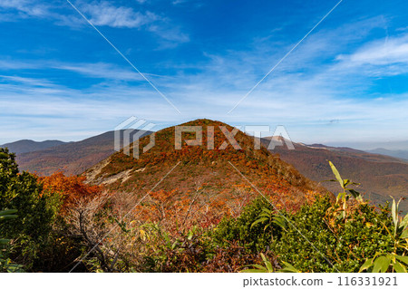滿山紅葉的鬼面山、三之輪山 116331921