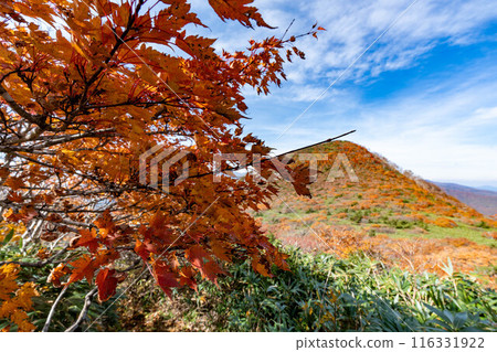 Mt. Kimen and Mt. Minowa covered in autumn leaves Mt. Kimen and Mt. Minowa covered in autumn leaves 116331922