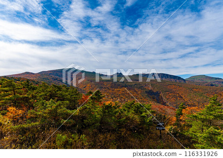 Mt. Adatara covered in autumn leaves 116331926