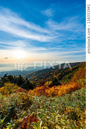 Bandai Azuma Skyline of autumn leaves 116331941