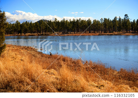 Lake of the Woods Arizona Lake of the Woods Arizona 116332105