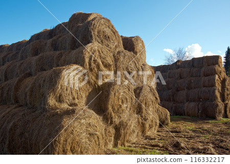 pyramid of hay 116332217