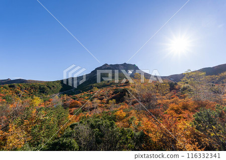 Autumnal leaves Nasatake Autumnal leaves Nasatake 116332341