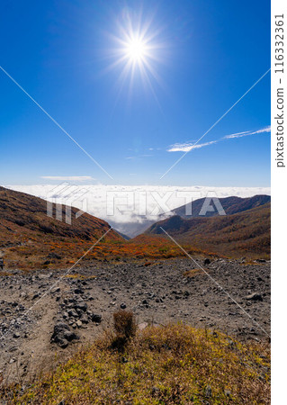 Autumn leaves of Mount Nasu and sea of clouds 116332361