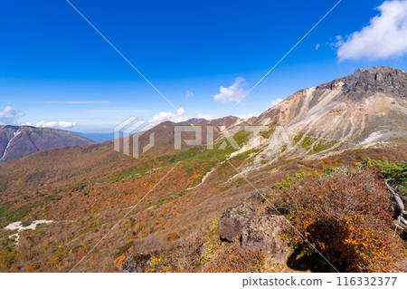 Autumnal leaves Nasatake Autumnal leaves Nasatake 116332377