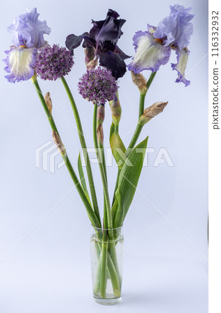 Iris flowers bouquet isolated on background. Iris flowers bouquet isolated on background. 116332932