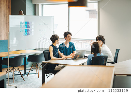 Male and female staff having a meeting at an IT company 116333139