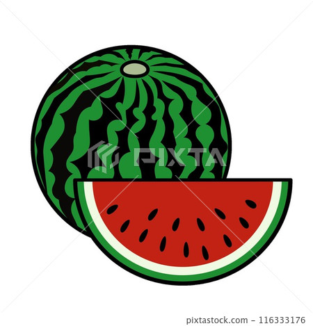 watermelon illustration 116333176