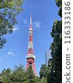 Tower seen from Shiba Park 116333186