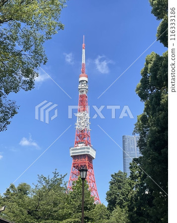 從芝公園看到的塔 116333186