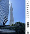 A view of the sky tree 116333189