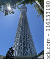 Look up at the Sky Tree 116333190