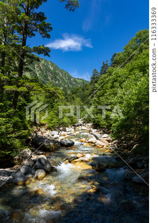 Azusa River in summer 116333369